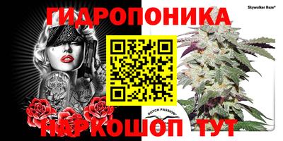 экстази Балахна