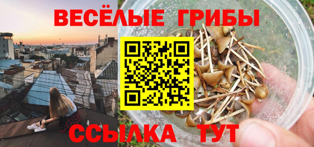 Псилоцибиновые грибы прущие грибы  Вход с VPN  Губкинский 