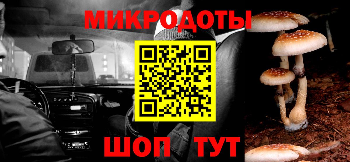 Галлюциногенные грибы Psilocybine cubensis Губкинский